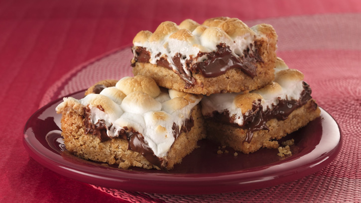 Warm Toasted Marshmallow S’mores Bars