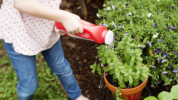 little girl watering plant with homemade watering can