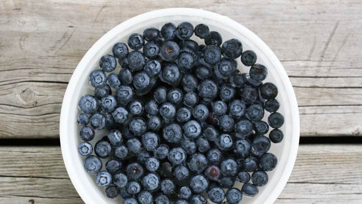 preparing blueberries for freezing