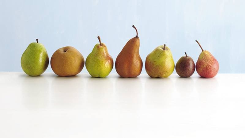 Golden Italian Bosc Pears