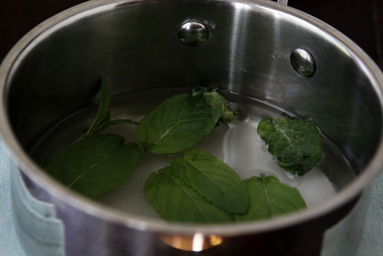 Mint Julep How-To